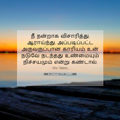 Picture 07 - உபாகமம் 13:14 TAMIRV - நீ நன்றாக - Bible Verse Picture