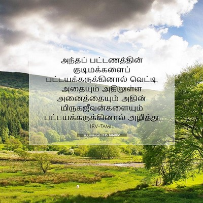 Picture 07 - உபாகமம் 13:15 TAMIRV - அந்தப் - Bible Verse Picture