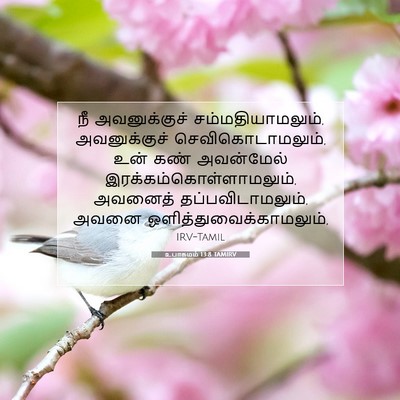 Picture 07 - உபாகமம் 13:8 TAMIRV - நீ அவனுக்குச் - Bible Verse Picture