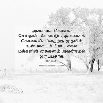Picture 07 - உபாகமம் 13:9 TAMIRV - அவனைக் கொலை - Bible Verse Picture