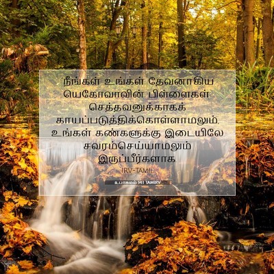 Picture 07 - உபாகமம் 14:1 TAMIRV - “நீங்கள் உங்கள் - Bible Verse Picture