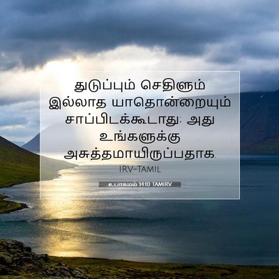Picture 07 - உபாகமம் 14:10 TAMIRV - துடுப்பும் - Bible Verse Picture