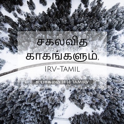 Picture 07 - உபாகமம் 14:14 TAMIRV - சகலவித - Bible Verse Picture