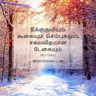 Picture 07 - உபாகமம் 14:15 TAMIRV - தீக்குருவியும், - Bible Verse Picture