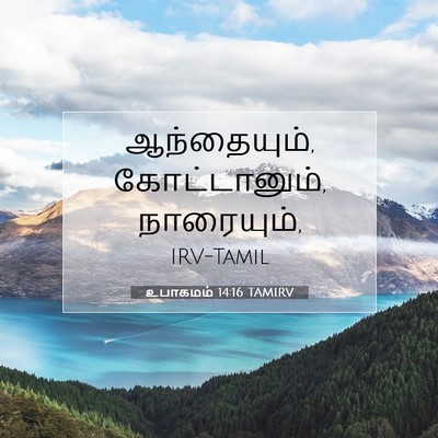 Picture 07 - உபாகமம் 14:16 TAMIRV - ஆந்தையும், - Bible Verse Picture