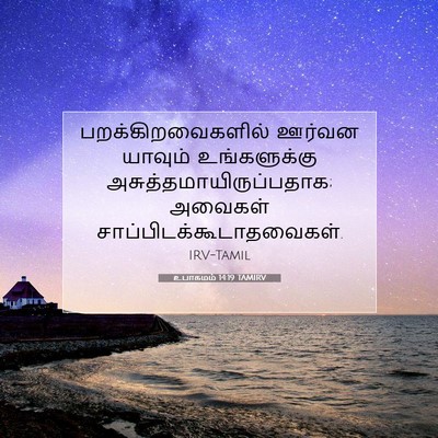 Picture 07 - உபாகமம் 14:19 TAMIRV - பறக்கிறவைகளில் - Bible Verse Picture