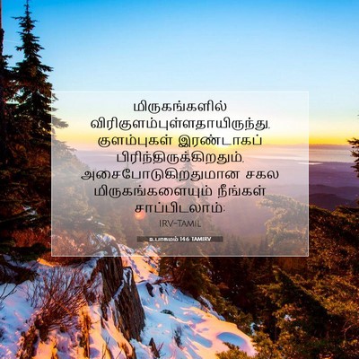 Picture 07 - உபாகமம் 14:6 TAMIRV - மிருகங்களில் - Bible Verse Picture