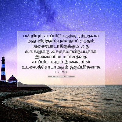 Picture 07 - உபாகமம் 14:8 TAMIRV - பன்றியும் - Bible Verse Picture