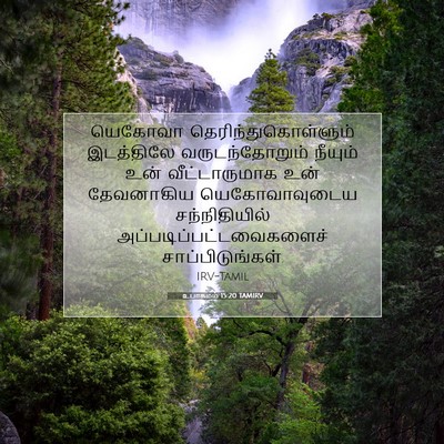 Picture 07 - உபாகமம் 15:20 TAMIRV - யெகோவா - Bible Verse Picture