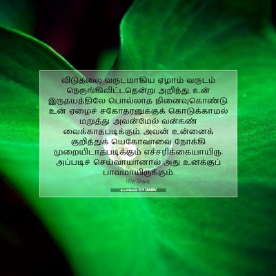 Picture 07 - உபாகமம் 15:9 TAMIRV - விடுதலை வருடமாகிய - Bible Verse Picture