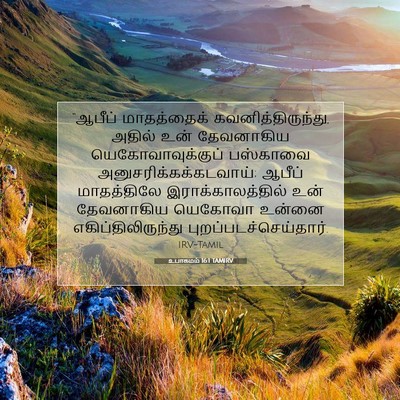 Picture 07 - உபாகமம் 16:1 TAMIRV - “ஆபீப் மாதத்தைக் - Bible Verse Picture