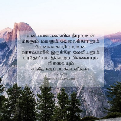 Picture 07 - உபாகமம் 16:14 TAMIRV - உன் பண்டிகையில் - Bible Verse Picture