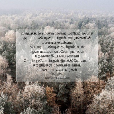 Picture 07 - உபாகமம் 16:16 TAMIRV - வருடத்தில் - Bible Verse Picture