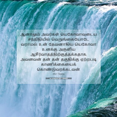Picture 07 - உபாகமம் 16:17 TAMIRV - ஆனாலும் அவர்கள் - Bible Verse Picture