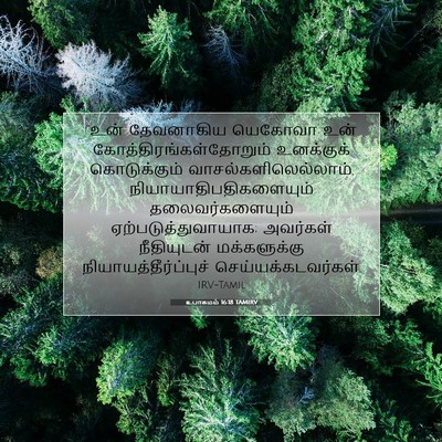 Picture 07 - உபாகமம் 16:18 TAMIRV - “உன் தேவனாகிய - Bible Verse Picture