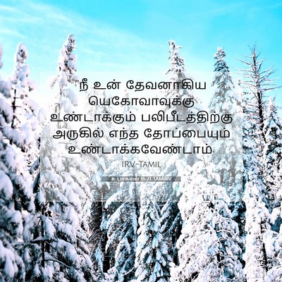 Picture 07 - உபாகமம் 16:21 TAMIRV - “நீ உன் தேவனாகிய - Bible Verse Picture