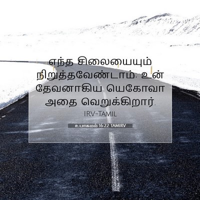 Picture 07 - உபாகமம் 16:22 TAMIRV - எந்த சிலையையும் - Bible Verse Picture