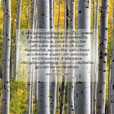 Picture 07 - உபாகமம் 16:3 TAMIRV - நீ - Bible Verse Picture