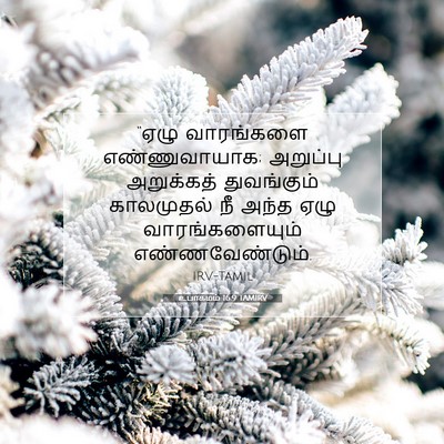 Picture 07 - உபாகமம் 16:9 TAMIRV - “ஏழு வாரங்களை - Bible Verse Picture