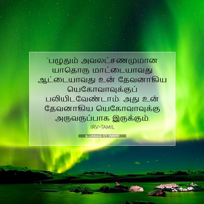 Picture 07 - உபாகமம் 17:1 TAMIRV - “பழுதும் - Bible Verse Picture