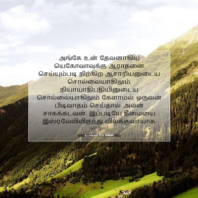 Picture 07 - உபாகமம் 17:12 TAMIRV - அங்கே உன் - Bible Verse Picture