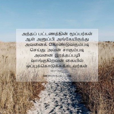 Picture 07 - உபாகமம் 19:12 TAMIRV - அந்தப் - Bible Verse Picture