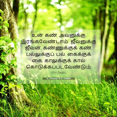 Picture 07 - உபாகமம் 19:21 TAMIRV - உன் கண் அவனுக்கு - Bible Verse Picture