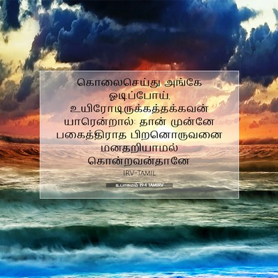 Picture 07 - உபாகமம் 19:4 TAMIRV - கொலைசெய்து அங்கே - Bible Verse Picture