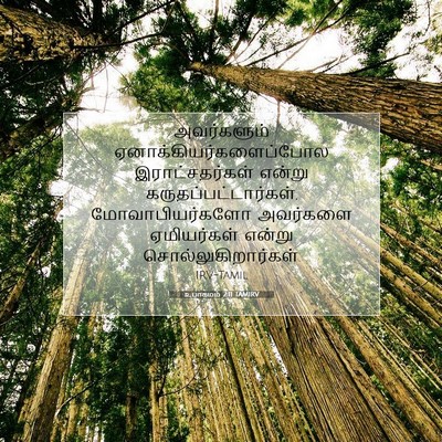 Picture 07 - உபாகமம் 2:11 TAMIRV - அவர்களும் - Bible Verse Picture