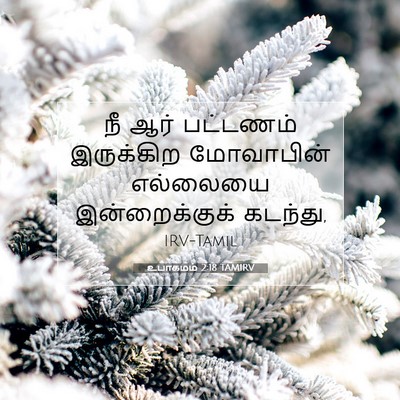 Picture 07 - உபாகமம் 2:18 TAMIRV - நீ ஆர் பட்டணம் - Bible Verse Picture