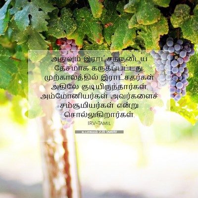 Picture 07 - உபாகமம் 2:20 TAMIRV - அதுவும் - Bible Verse Picture