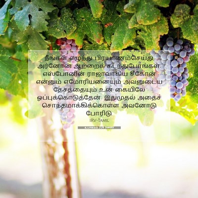 Picture 07 - உபாகமம் 2:24 TAMIRV - நீங்கள் எழுந்து - Bible Verse Picture