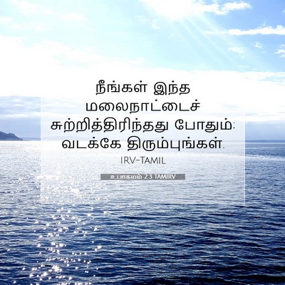 Picture 07 - உபாகமம் 2:3 TAMIRV - நீங்கள் இந்த - Bible Verse Picture