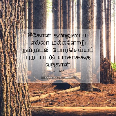Picture 07 - உபாகமம் 2:32 TAMIRV - சீகோன் தன்னுடைய - Bible Verse Picture