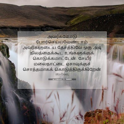 Picture 07 - உபாகமம் 2:5 TAMIRV - அவர்களோடு - Bible Verse Picture