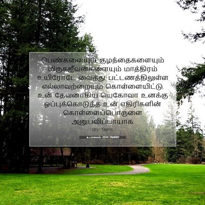 Picture 07 - உபாகமம் 20:14 TAMIRV - பெண்களையும், - Bible Verse Picture