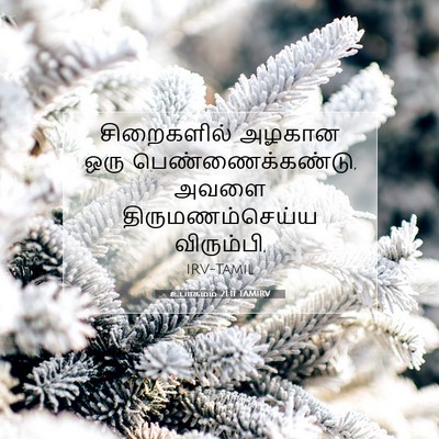 Picture 07 - உபாகமம் 21:11 TAMIRV - சிறைகளில் அழகான - Bible Verse Picture