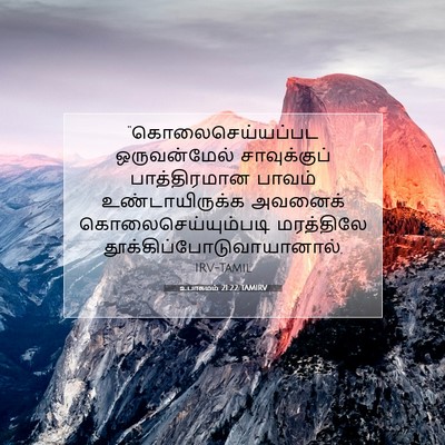 Picture 07 - உபாகமம் 21:22 TAMIRV - “கொலைசெய்யப்பட - Bible Verse Picture