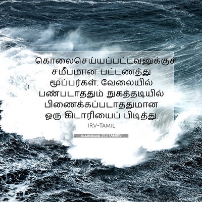Picture 07 - உபாகமம் 21:3 TAMIRV -  - Bible Verse Picture