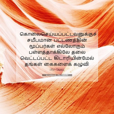 Picture 07 - உபாகமம் 21:6 TAMIRV -  - Bible Verse Picture