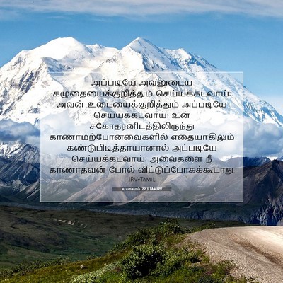 Picture 07 - உபாகமம் 22:3 TAMIRV - அப்படியே அவனுடைய - Bible Verse Picture
