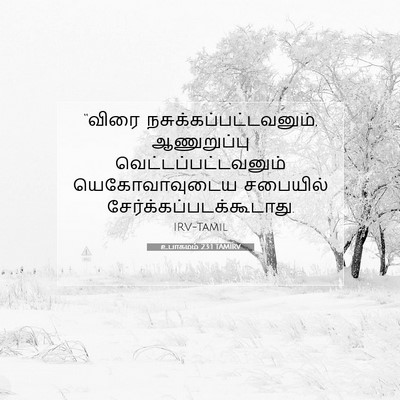 Picture 07 - உபாகமம் 23:1 TAMIRV - “விரை - Bible Verse Picture