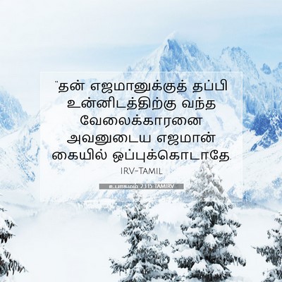 Picture 07 - உபாகமம் 23:15 TAMIRV - “தன் எஜமானுக்குத் - Bible Verse Picture