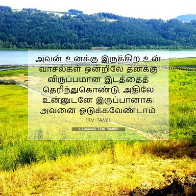 Picture 07 - உபாகமம் 23:16 TAMIRV - அவன் உனக்கு - Bible Verse Picture