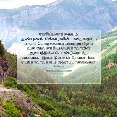Picture 07 - உபாகமம் 23:18 TAMIRV - வேசிப்பணத்தையும், - Bible Verse Picture