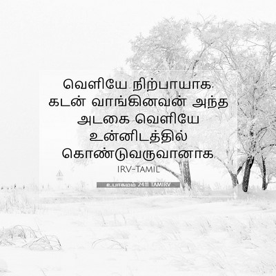 Picture 07 - உபாகமம் 24:11 TAMIRV - வெளியே நிற்பாயாக; - Bible Verse Picture