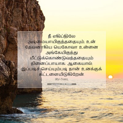 Picture 07 - உபாகமம் 24:18 TAMIRV - நீ எகிப்திலே - Bible Verse Picture