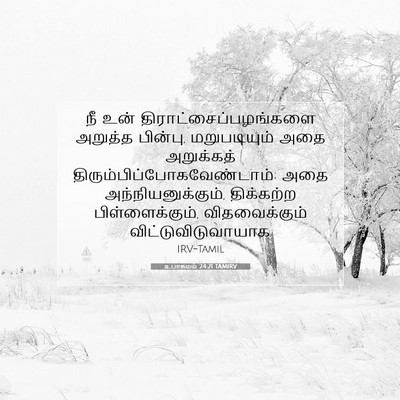 Picture 07 - உபாகமம் 24:21 TAMIRV - நீ உன் - Bible Verse Picture