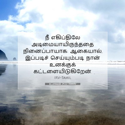 Picture 07 - உபாகமம் 24:22 TAMIRV - நீ எகிப்திலே - Bible Verse Picture