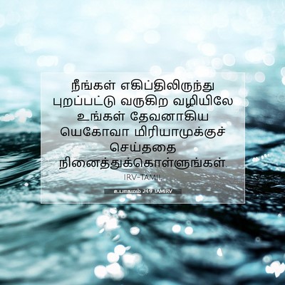Picture 07 - உபாகமம் 24:9 TAMIRV - நீங்கள் - Bible Verse Picture